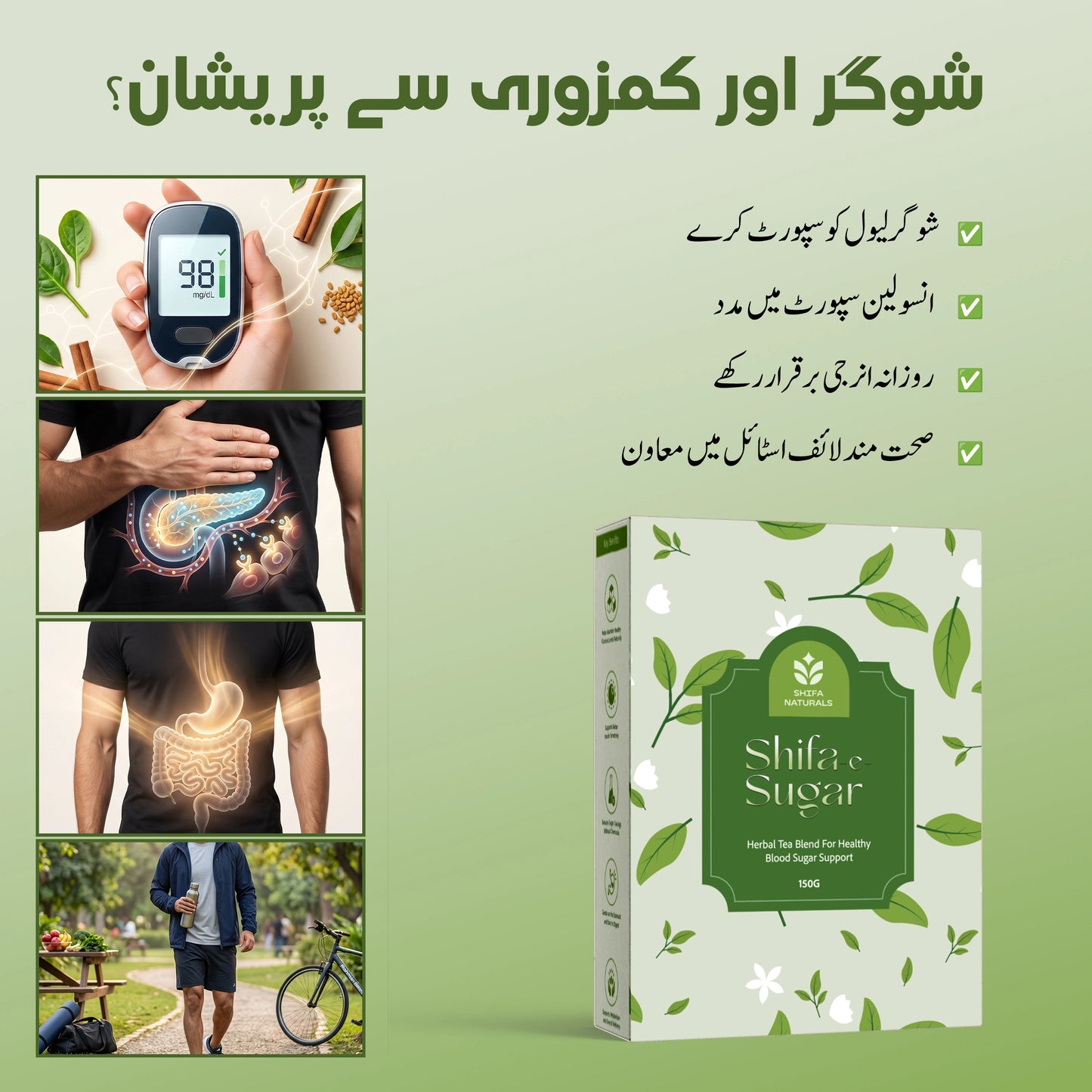 Complete Wellness Bundle