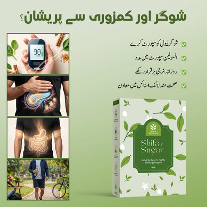 Complete Wellness Bundle