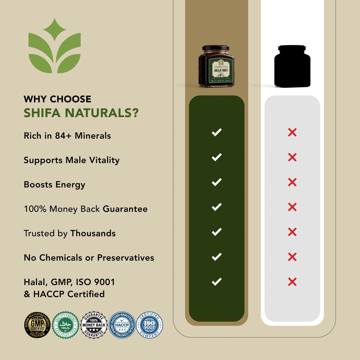 Men Gold Plus Shilajit Honey