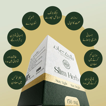 Healthy Weight Bundle